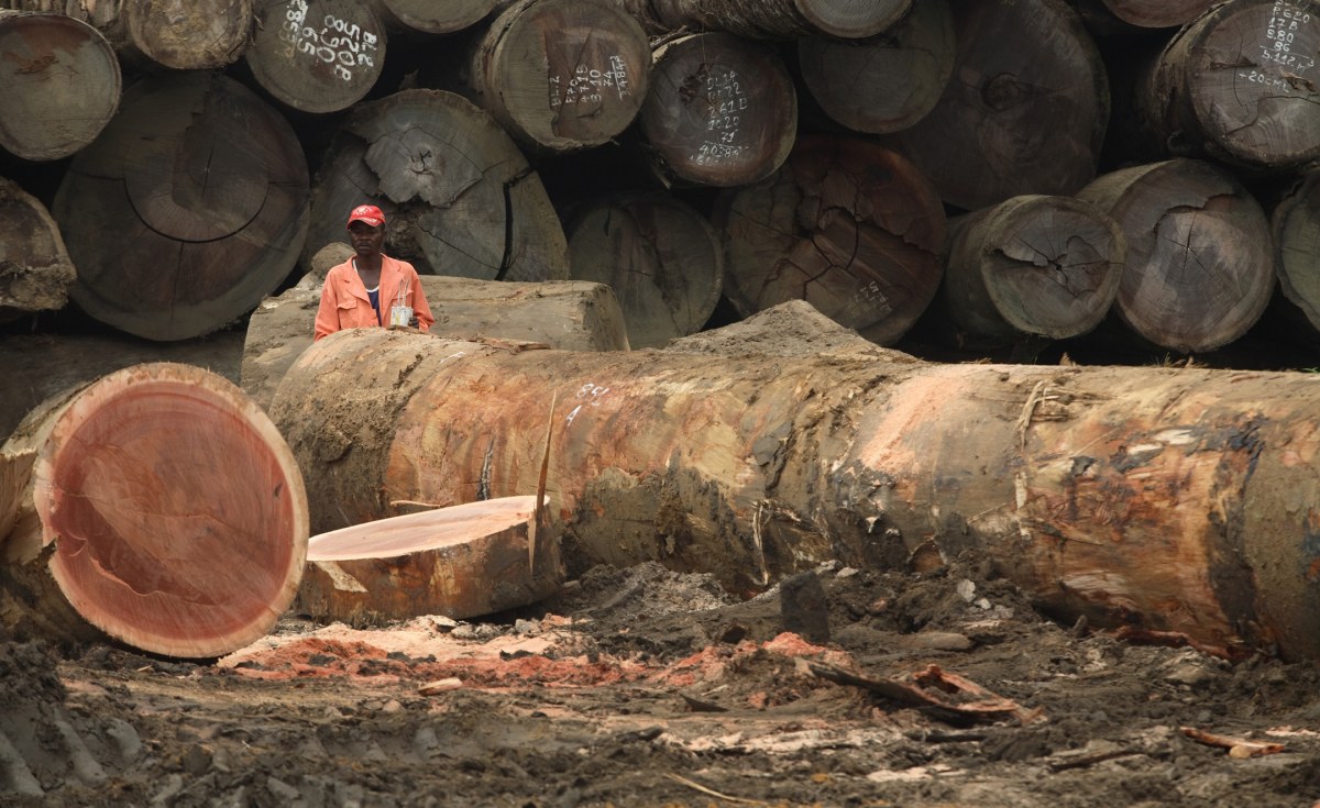 timber-ops-img
